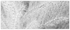 Obraz - Pampas grass N⁰1 (120x50 cm)