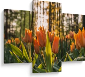 Obraz - kvety tulipánov (90x60 cm)