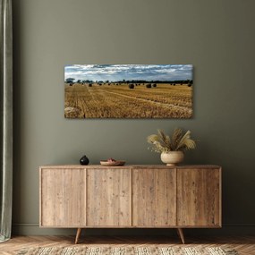 Obraz zozbieraného obilného poľa (120x50 cm)