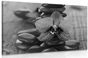 Obraz orchidea a Zen kamene v čiernobielom prevedení - 120x80