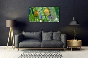 Skleneny obraz Ryba riasy príroda 100x50 cm