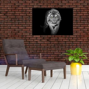Obraz - Tiger so žltými očami (90x60 cm)