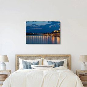 Obraz Bratislavy s hradom (90x60 cm)