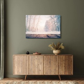 Obraz - Výhľad do lesa (90x60 cm)