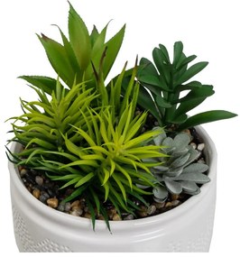 Umelé rastliny v súprave 2 ks (výška 19 cm) Cactus – Casa Selección