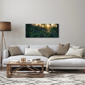 Obraz presvitajúceho slnka cez vetvičky stromov (120x50 cm)