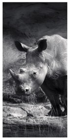 Moderný deliaci Paravan nosorožec