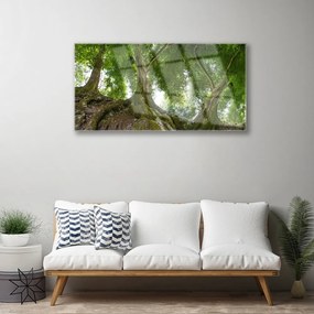 Skleneny obraz Stromy rastlina príroda 125x50 cm