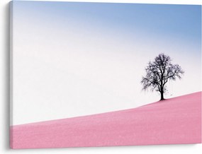 Obraz - Ružový sen (70x50 cm)