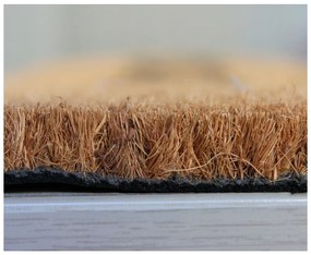 Home Elements Rohožka Mačka a pes