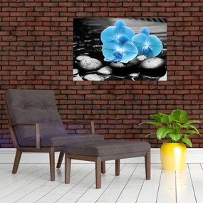 Obraz - Modrá orchidea (90x60 cm)