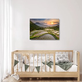 Sklenený obraz - Ryžové terasy (70x50 cm)