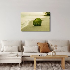 Obraz listu v piesku (90x60 cm)