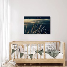 Obraz tráv (90x60 cm)