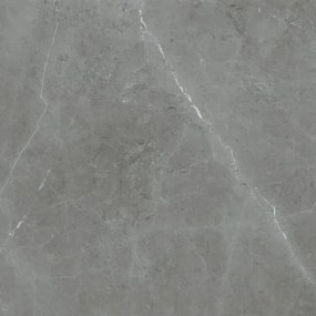 Dlažba Tessino Grey Pulido 80x80 R