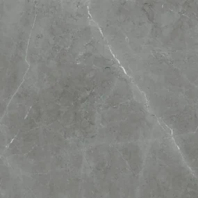 Dlažba Tessino Grey Pulido 80x80 R