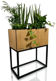 Dekoračný kvetináč z hladkého prírodného dubu LOFT FIORINO 42X22X50 cm