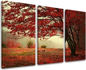 Obraz na stenu 3 dielny STROMY ST017E30