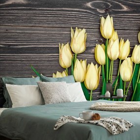 Samolepiaca fototapeta žlté tulipány na drevenom podklade - 150x100