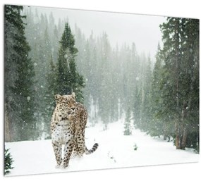 Obraz leoparda v snehu (70x50 cm)