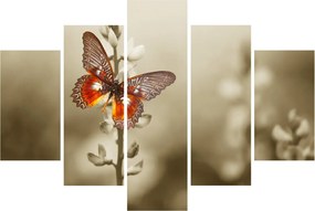 Obraz motýľa (150x105 cm)