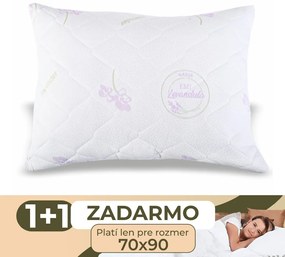 Vankúš prešívaný antialergický Lavender EMI 1+1 ZADARMO: Vankúš 50x70 cm