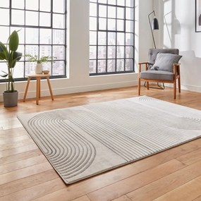 Sivý/béžový koberec 220x160 cm Apollo - Think Rugs