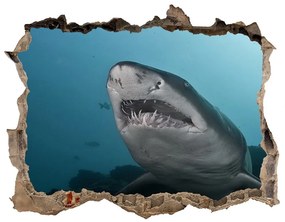 Díra 3D fototapeta nálepka Veľký žralok nd-k-120086004