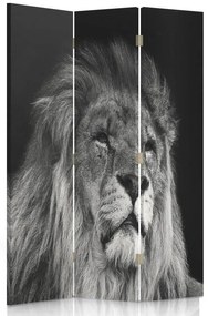 Gario Paraván Lev v čiernej a bielej farbe Rozmery: 110 x 170 cm, Prevedenie: Klasický paraván