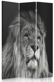 Gario Paraván Lev v čiernej a bielej farbe Rozmery: 110 x 170 cm, Prevedenie: Klasický paraván