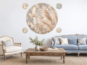 Pampová tráva v kruhu prírodné boho nálepky do obývacej izby na stenu arch 46 x 46 cm