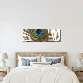 Obraz pávieho peria (s hodinami) (90x30 cm)
