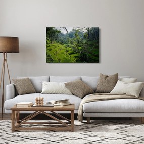 Obraz ryžových terás Tegalalang, Bali (90x60 cm)