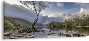 Obraz rieky za stromom (120x50 cm)