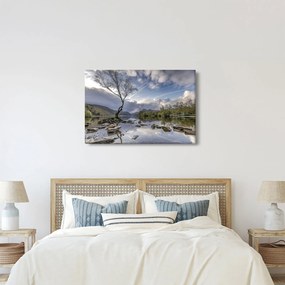 Obraz rieky za stromom (90x60 cm)