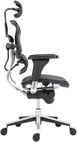 Kancelárska ergonomická stolička ERGOHUMAN — sieť, čierna, nosnosť 150 kg