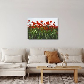 Sklenený obraz vlčích makov vo vetre (70x50 cm)