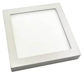 LED stropné svietidlo RIKI-P LED SMD/18W/230V 225x225 mm