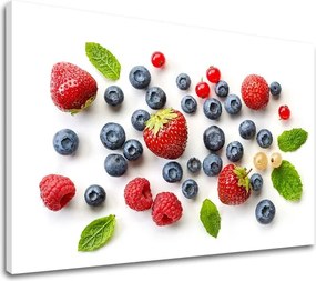 Obraz na stenu OVOCIE_094-11