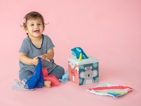 Box so šatkami Koala Kimmi