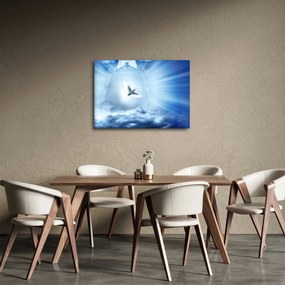Obraz - Božia holubica (70x50 cm)