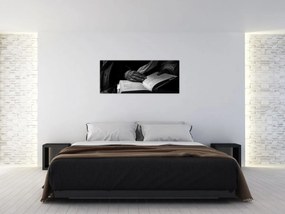Obraz - Kniha (120x50 cm)