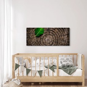 Obraz listu na kmeni stromu (120x50 cm)
