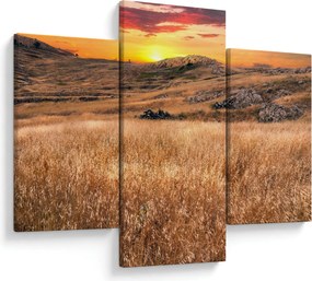 Obraz pole (90x60 cm)