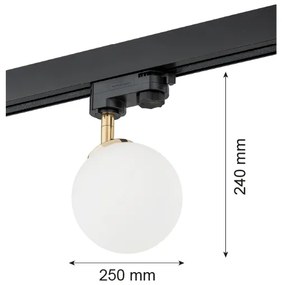 Argon 4307 - Bodové svietidlo do lištového systému BANG 1xG9/6W/230V mosadz