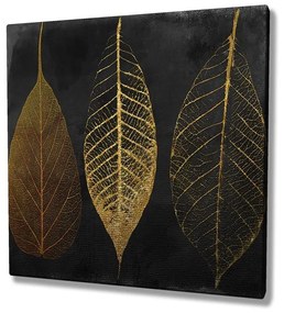 Obraz na plátne Leaves KC139 45x45 cm