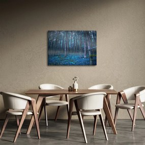 Obraz - Magický les (70x50 cm)