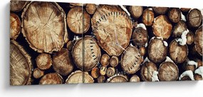 Obraz - Drevo v snehu (s hodinami) (90x30 cm)