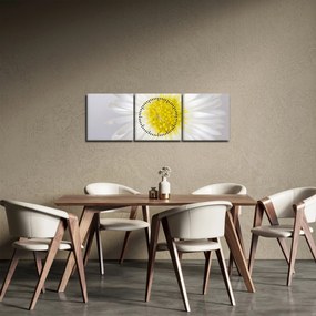 Obraz - Margarita (s hodinami) (90x30 cm)