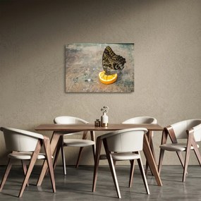 Sklenený obraz motýľa (70x50 cm)
